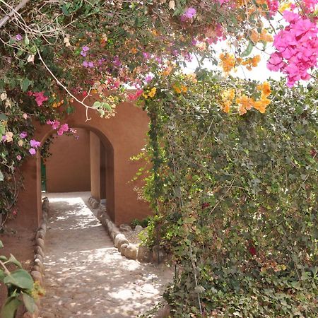 La Palmeraie De Massa Zaouit Massa Buitenkant foto