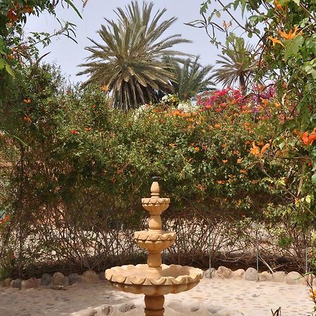 La Palmeraie De Massa Zaouit Massa Buitenkant foto