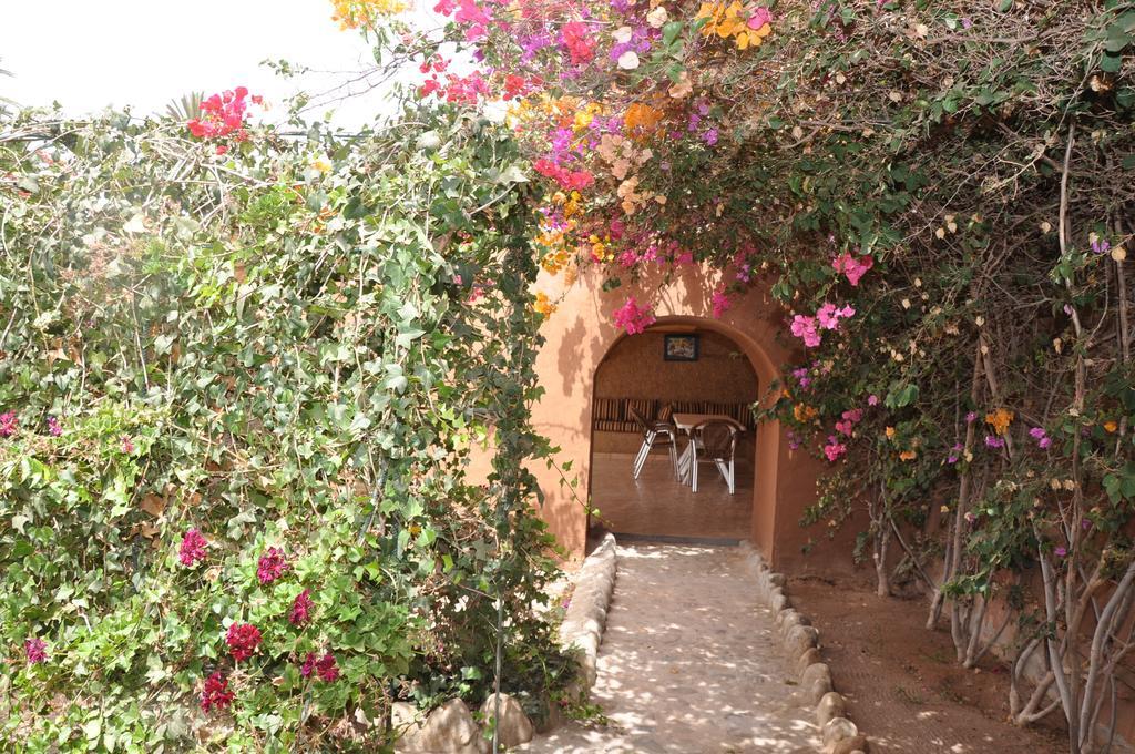 La Palmeraie De Massa Zaouit Massa Buitenkant foto