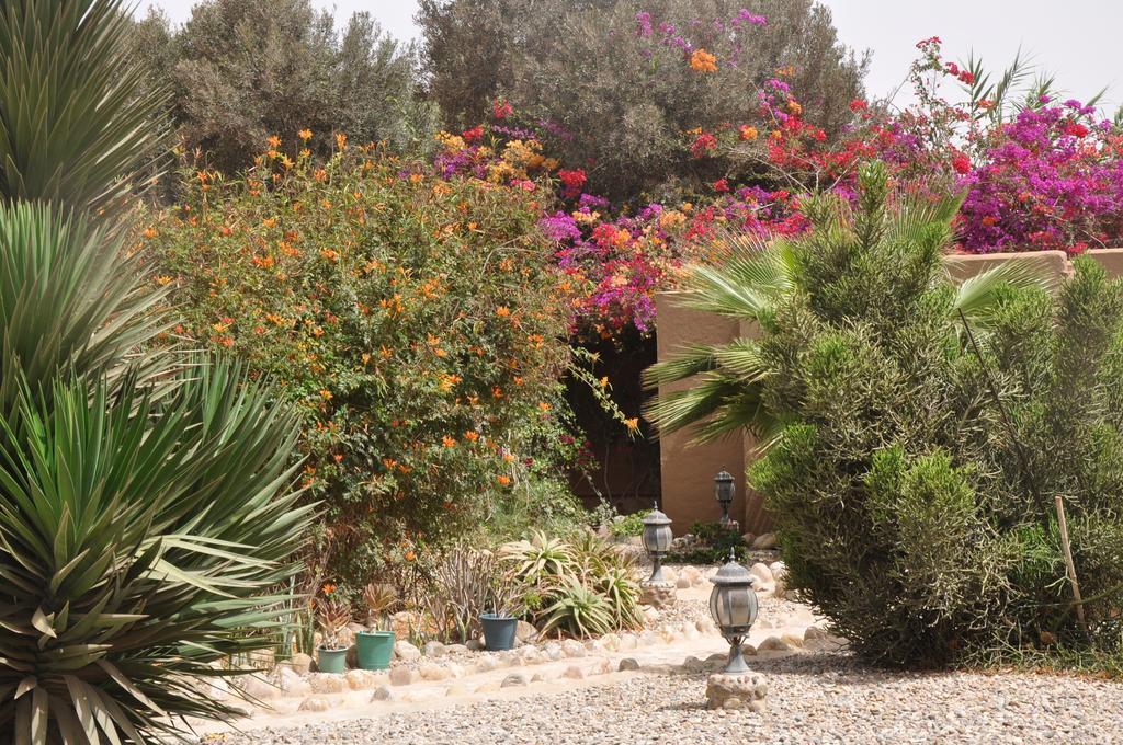 La Palmeraie De Massa Zaouit Massa Buitenkant foto