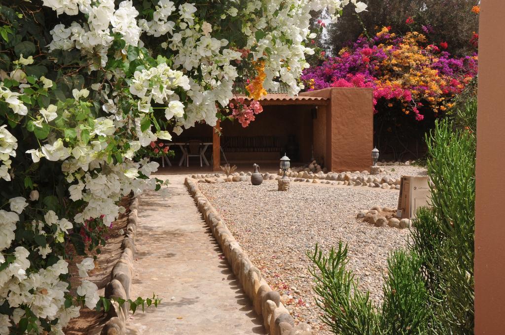 La Palmeraie De Massa Zaouit Massa Buitenkant foto