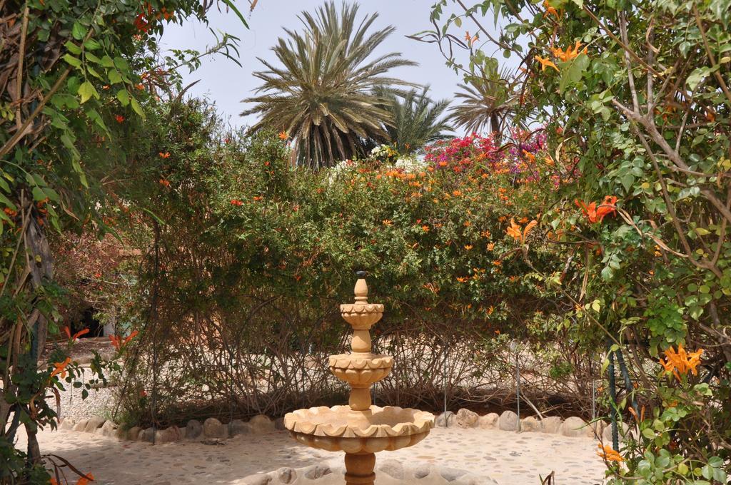 La Palmeraie De Massa Zaouit Massa Buitenkant foto